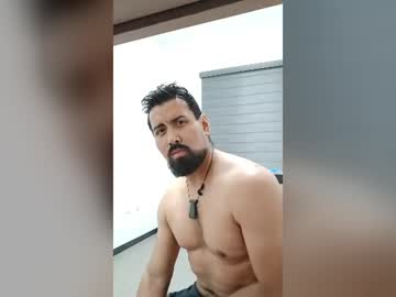 bamsi 79