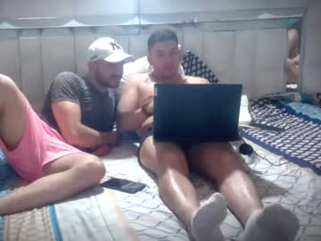 elgatolive4
