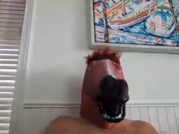 horseheadguy