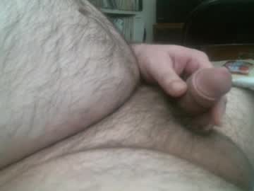 htx bear2