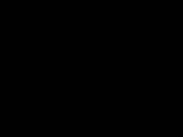robborras7